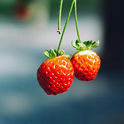 10月22日免费节点分享|20.3M/S，Clash节点/V2ray节点/SSR节点/Singbox节点|免费上网梯子每天更新